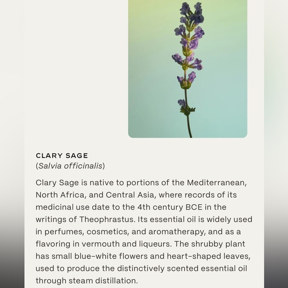 Twentynine Palms Desert Tumbleweed
Cleansing Shampoo & Conditioner Set - Picture 4 of 5